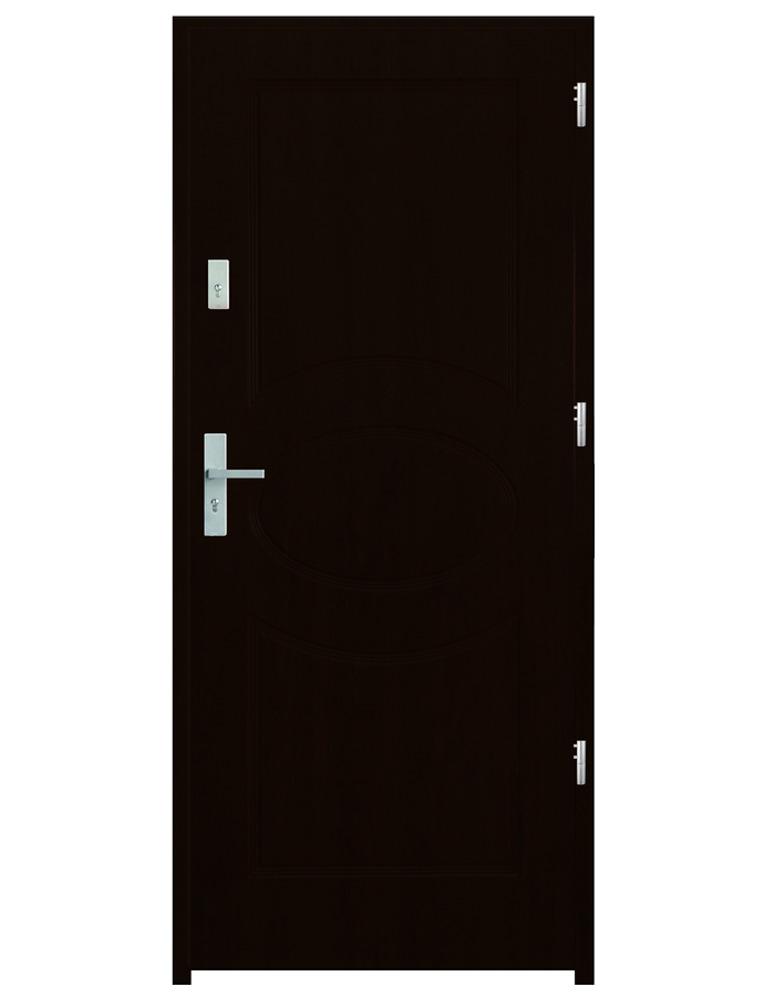 Drzwi wejściowe Elipsa