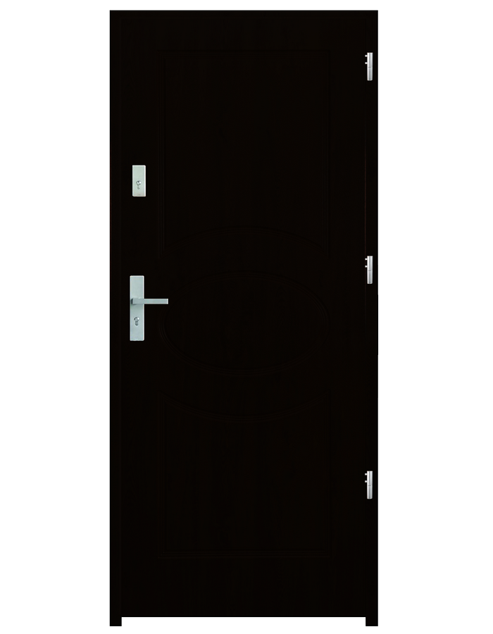 Drzwi wejściowe Elipsa