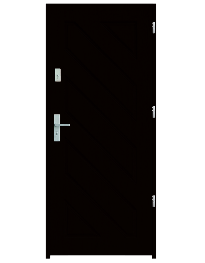 Drzwi wejściowe Ares