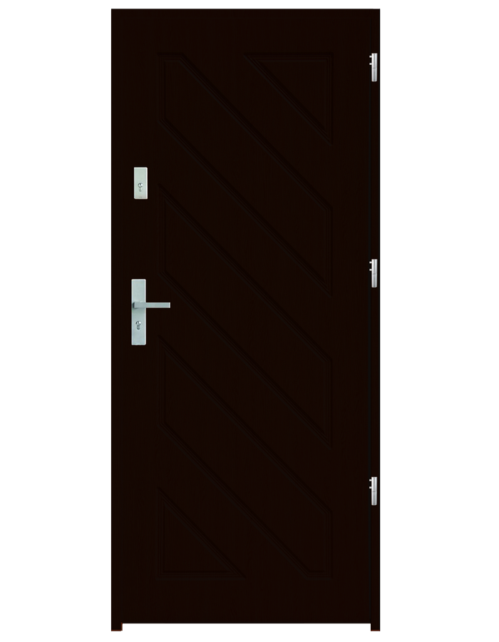 Drzwi wejściowe Ares