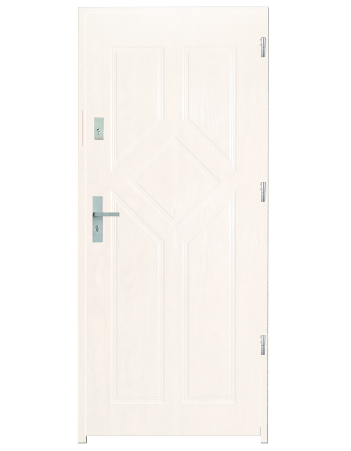 Drzwi wejściowe Caro 2