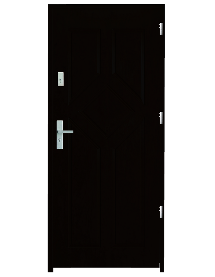 Drzwi wejściowe Caro