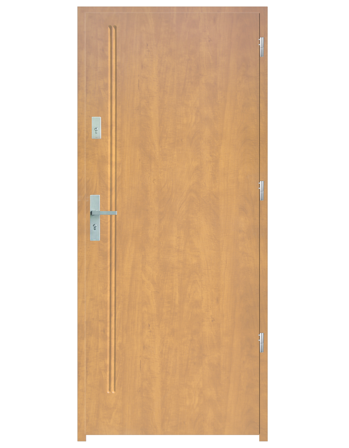 Drzwi wejściowe L2