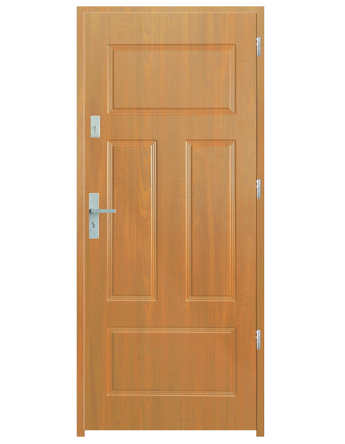 Drzwi wejściowe P40
