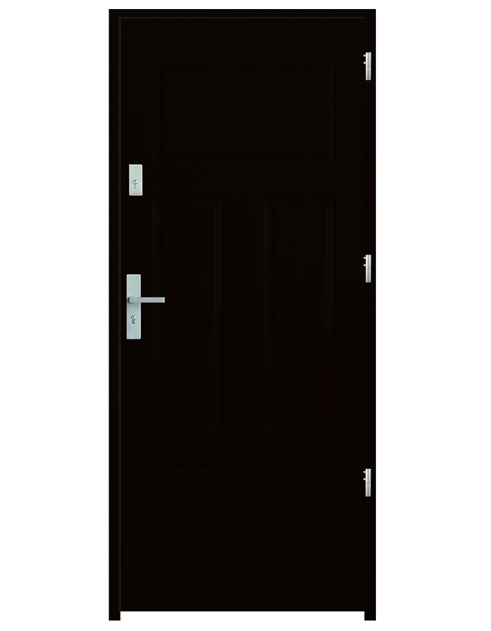 Drzwi wejściowe P40