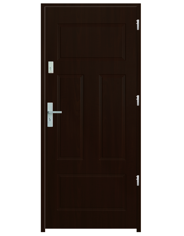 Drzwi wejściowe P40