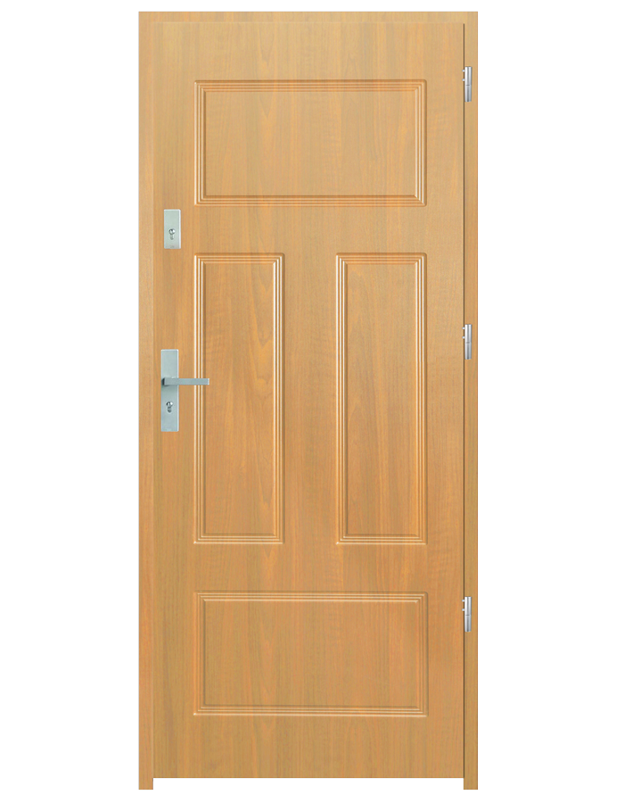 Drzwi wejściowe P40