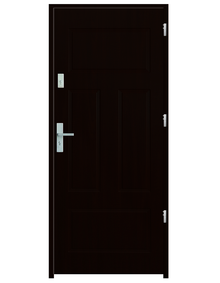 Drzwi wejściowe P40
