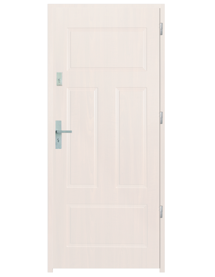Drzwi wejściowe P40