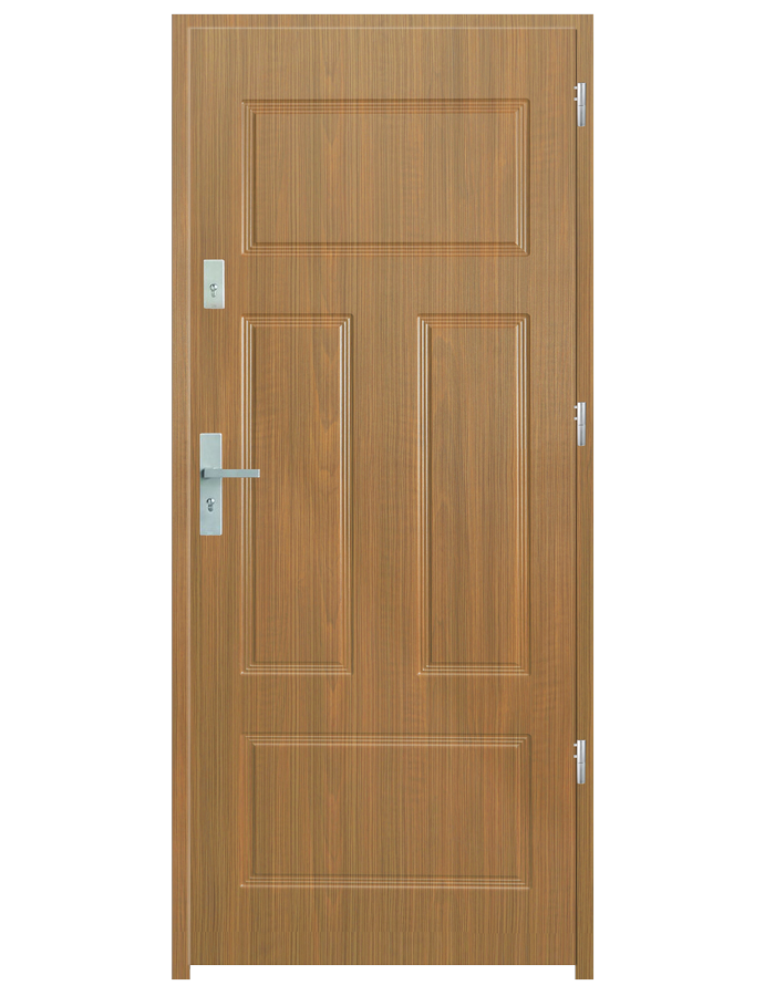 Drzwi wejściowe P40
