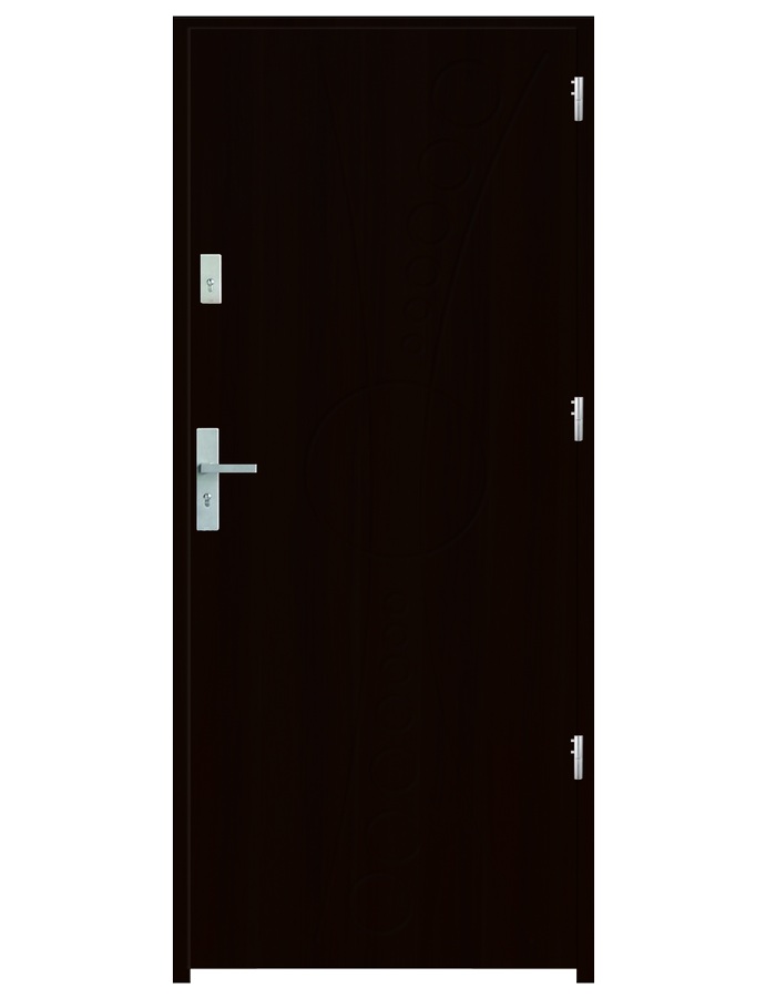 Drzwi wejściowe Planet