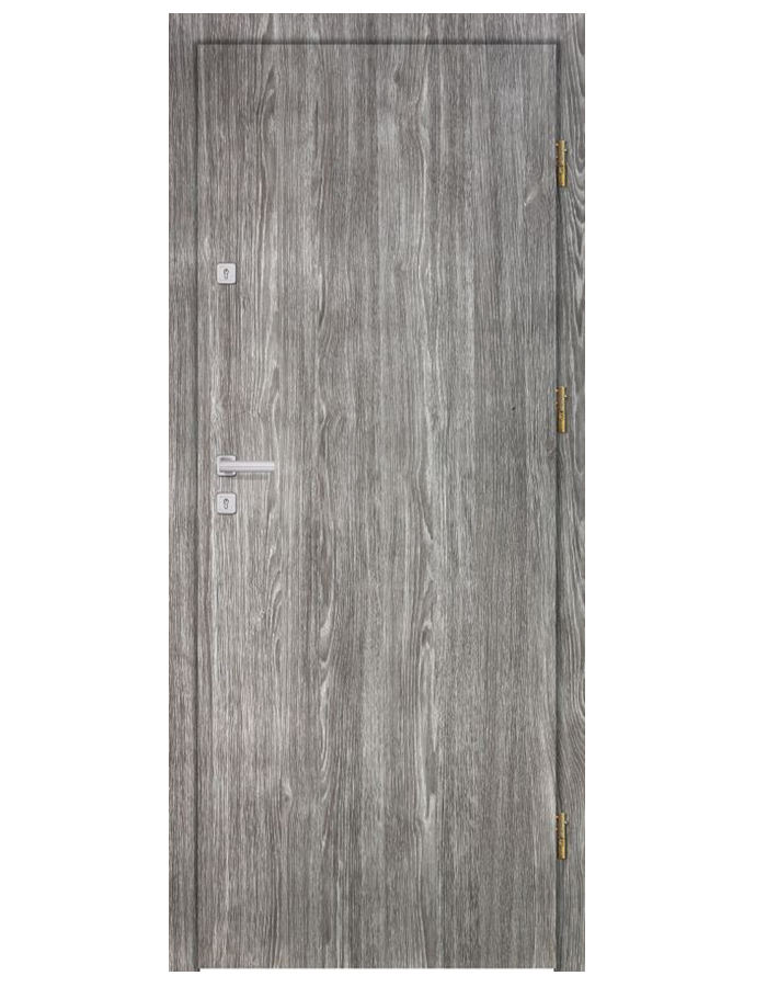 Drzwi wejściowe D10 01