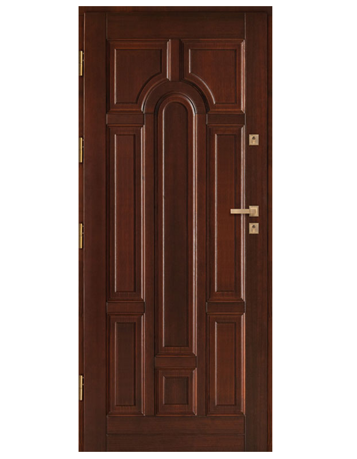 Drzwi wejściowe DZ 1