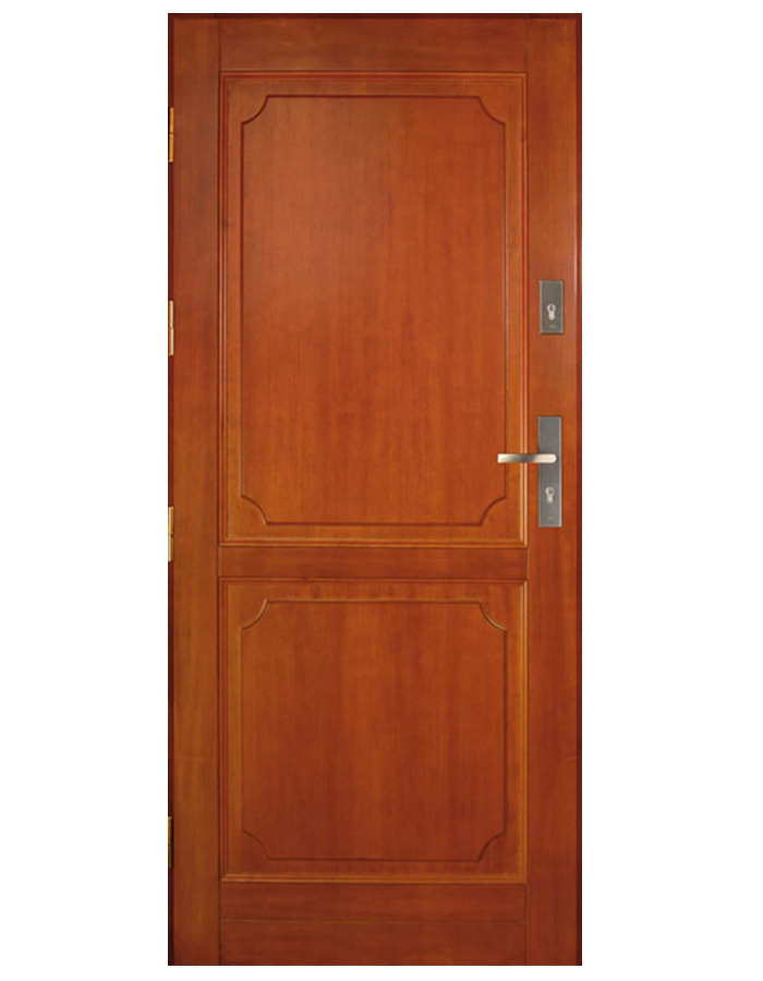 Drzwi wejściowe DZ 2