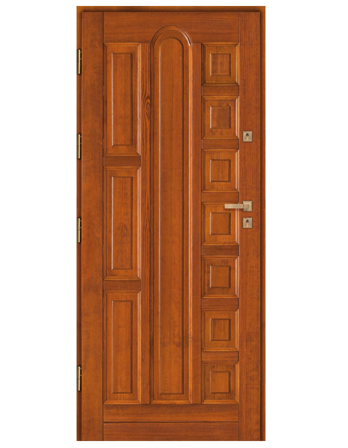 Drzwi wejściowe DZ 10