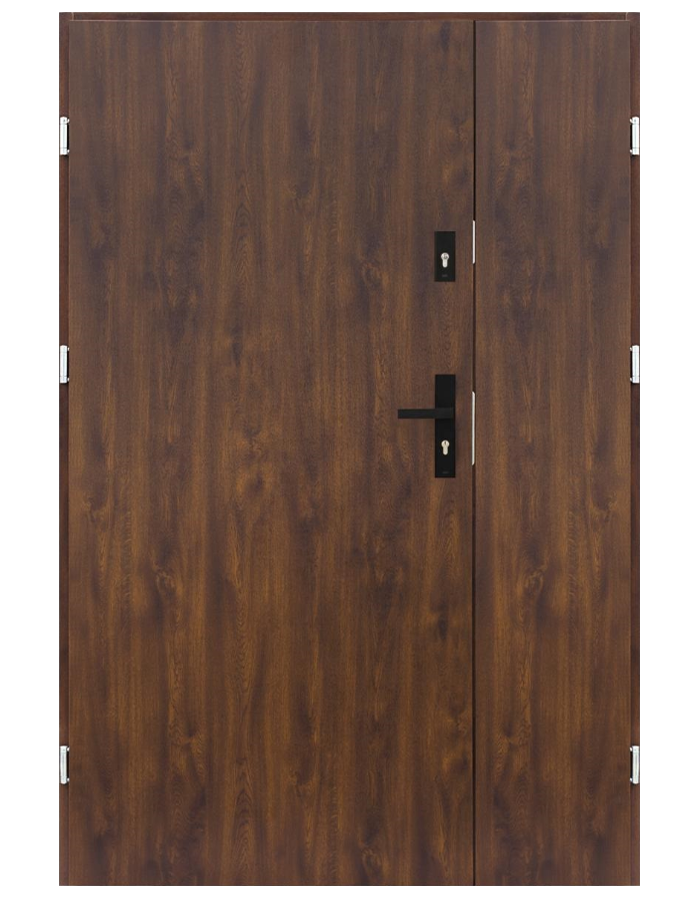 Drzwi wejściowe Dwuskrzydłowe Gładki