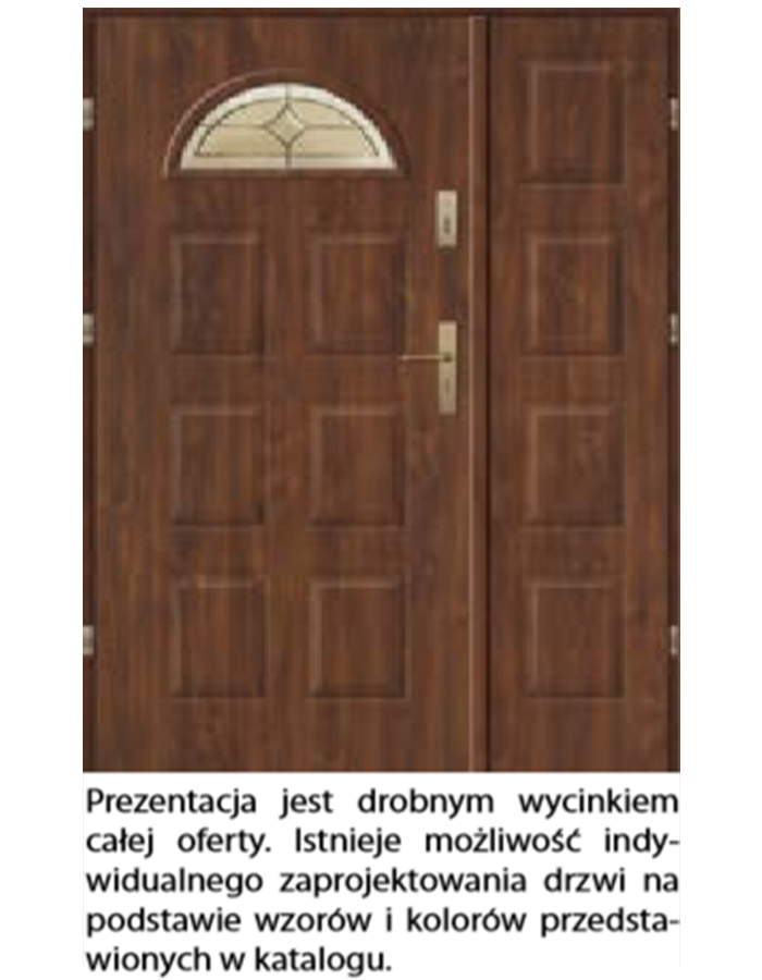 Drzwi wejściowe Stal 551