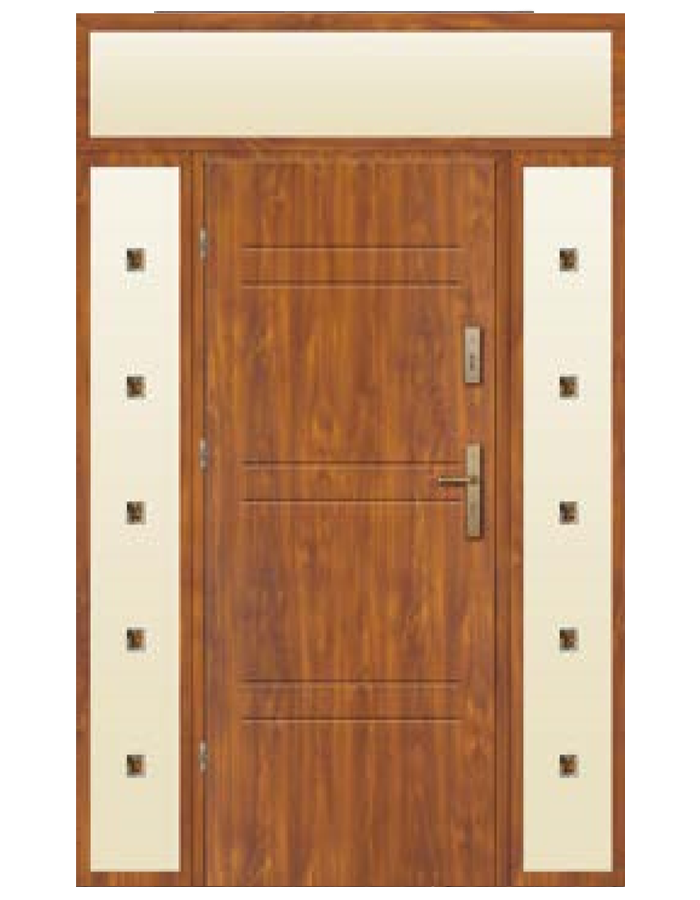 Drzwi wejściowe Stal 554