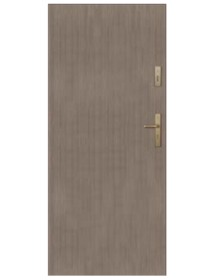 Drzwi wejściowe Shadow