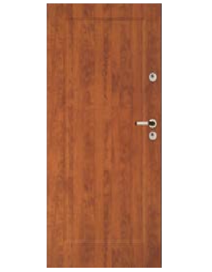 Drzwi wejściowe Stall 40