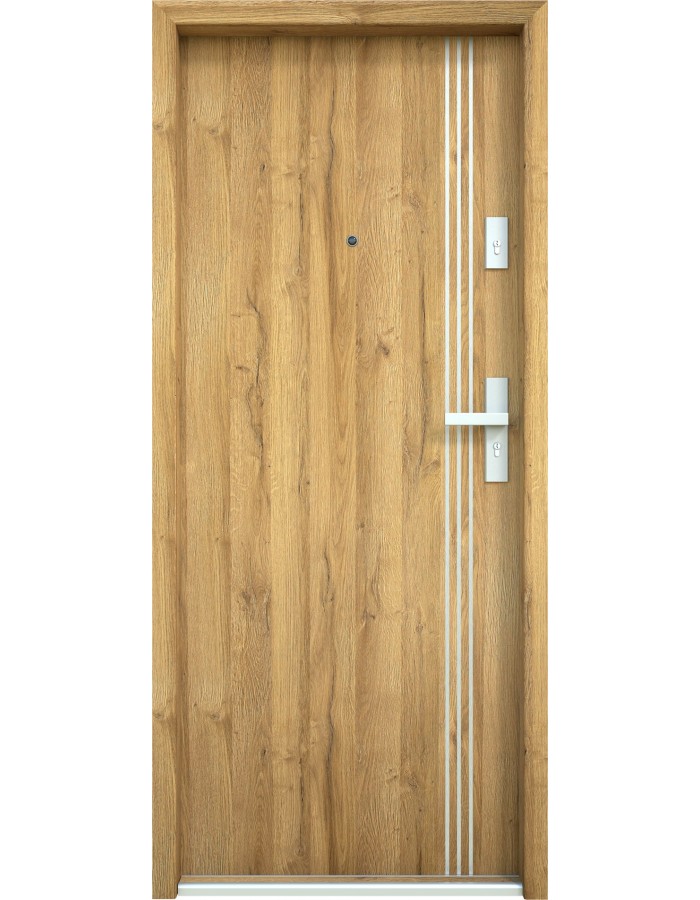 Drzwi wejściowe Bastion A-67