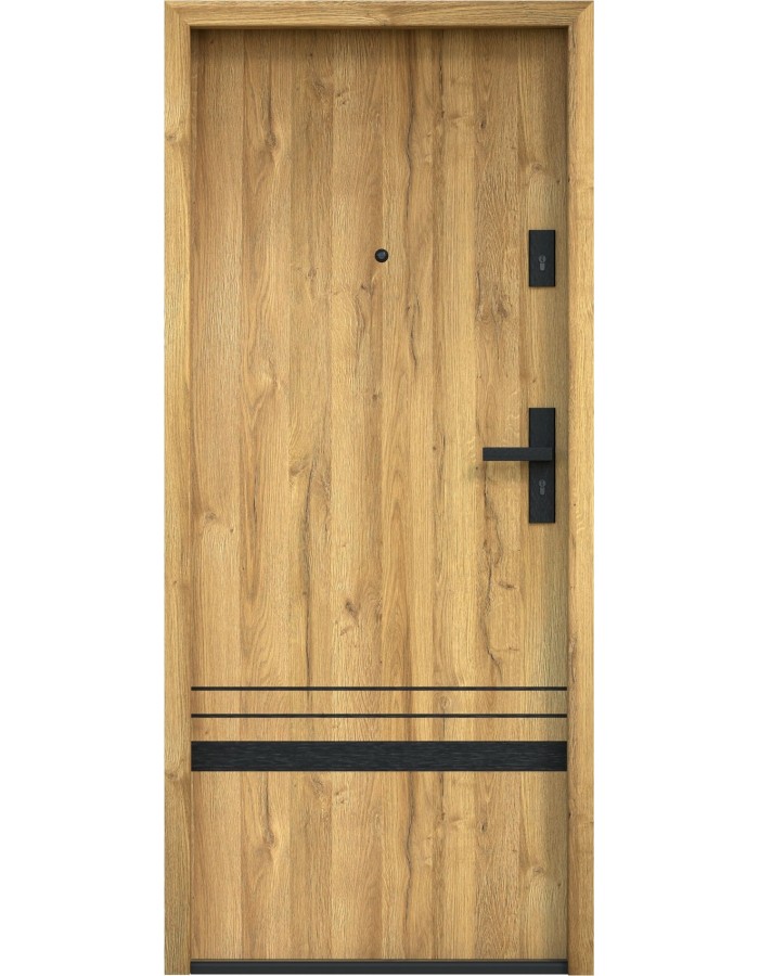 Drzwi wejściowe Bastion B-700