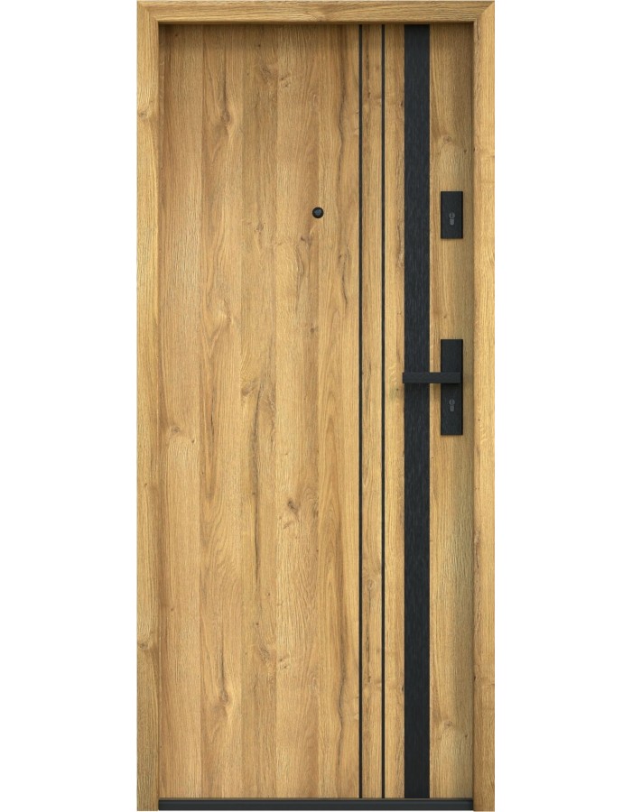 Drzwi wejściowe Bastion B-711