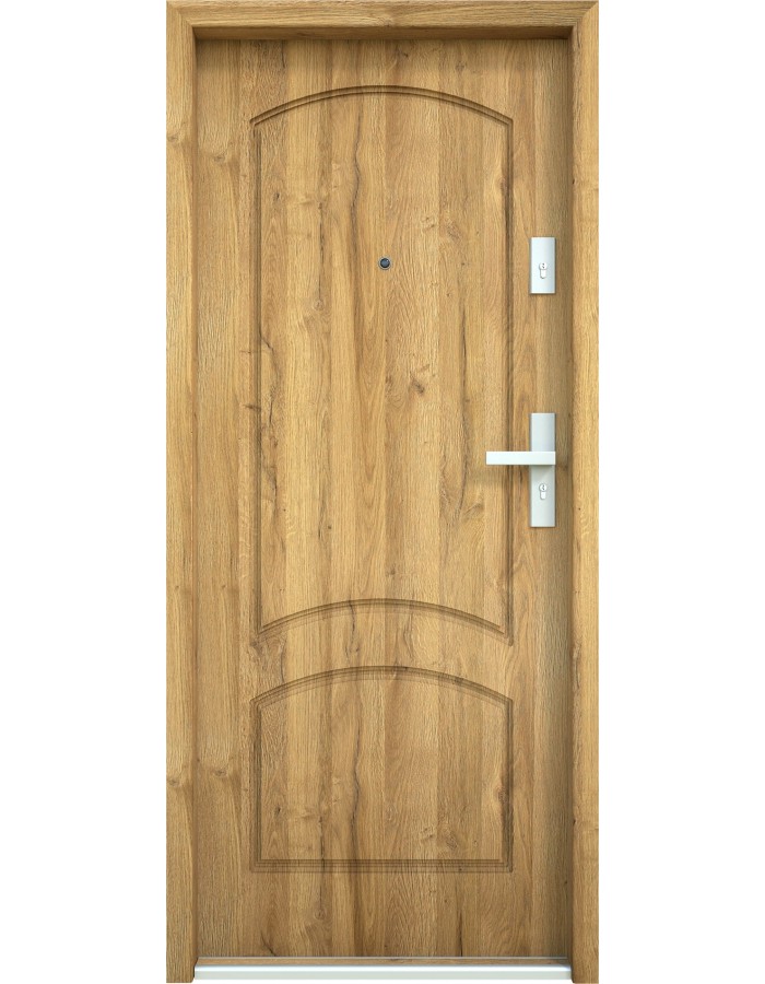 Drzwi wejściowe Bastion T-20